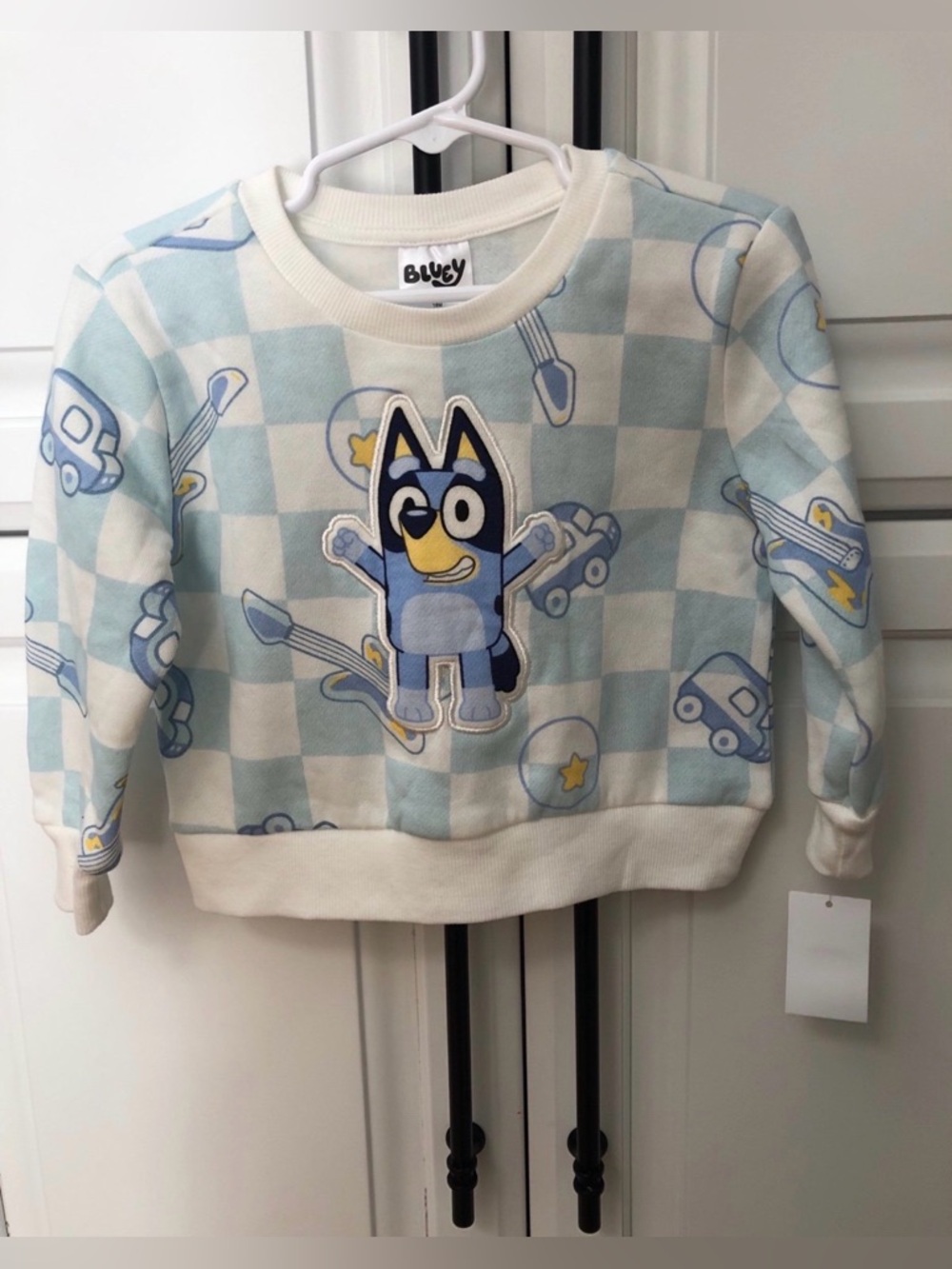 Bluey sweatshirt